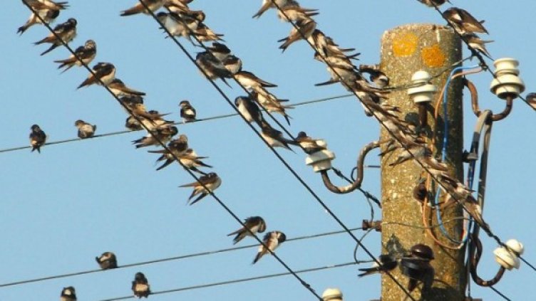 Снимка: Булфото