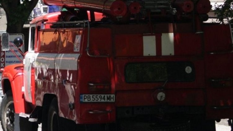 Снимка: Булфото