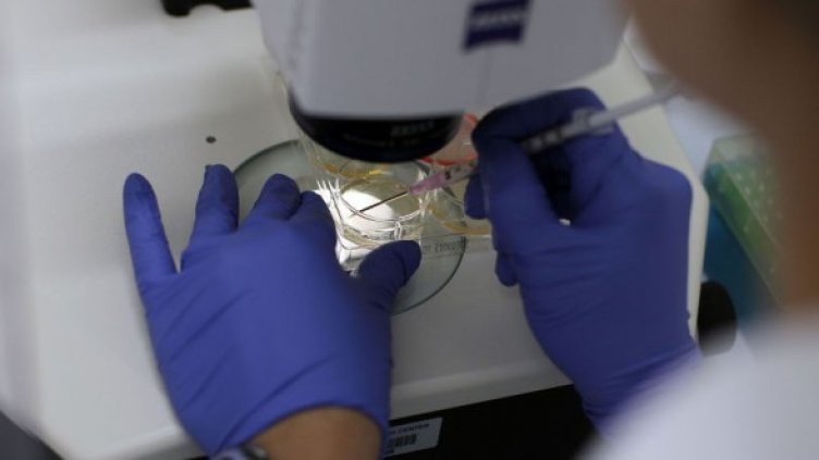 Снимка: Getty Images