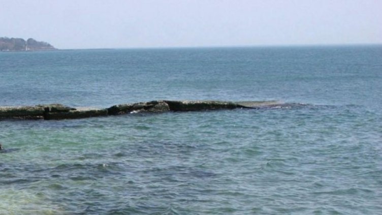 Снимка: Булфото