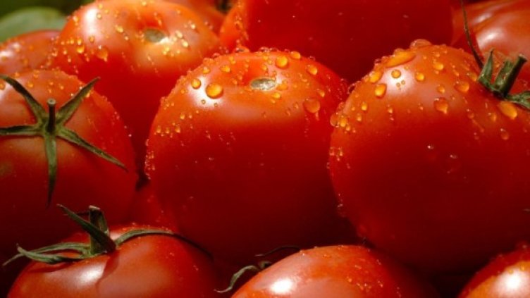 Снимка:Булфото