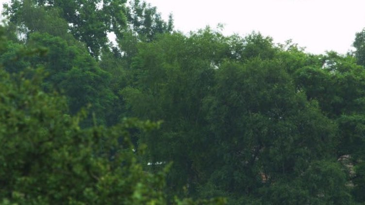 Снимка: Getty Images/Guliver Photos