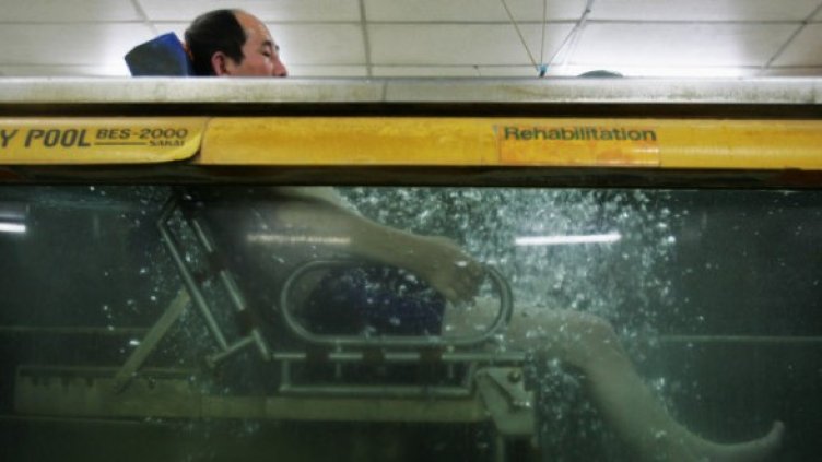 Снимка: Getty Images/Guliver Photos