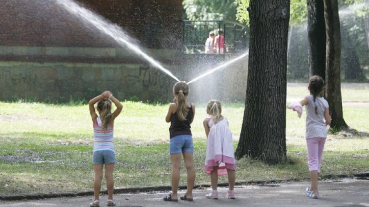 Снимка: БГНЕС