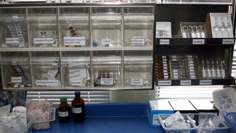 Снимка: БГНЕС