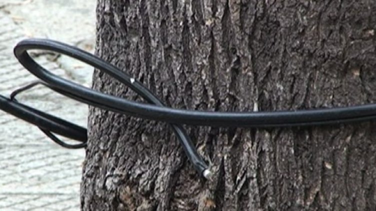 Разчистване на сметките по български