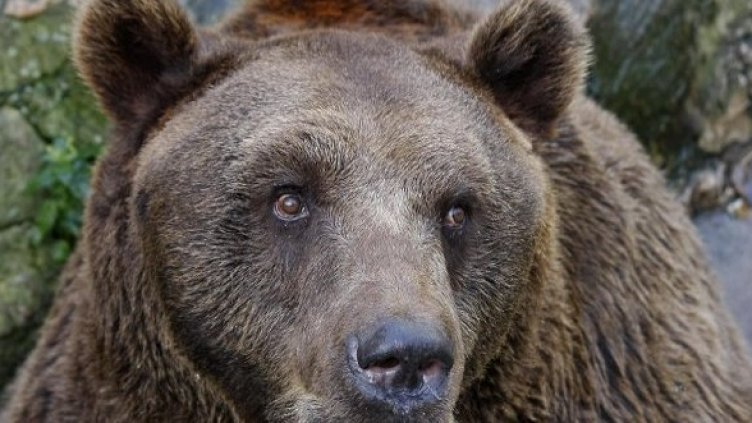 Снимка: Булфото