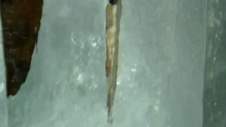 Удивителни открития след топенето на глетчерите