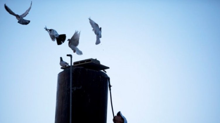 Снимка: Getty Images/Guliver Photos