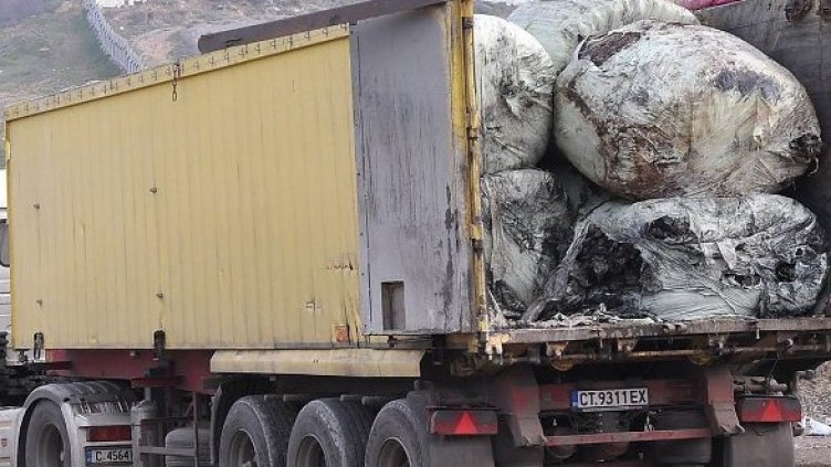 Снимка: Булфото