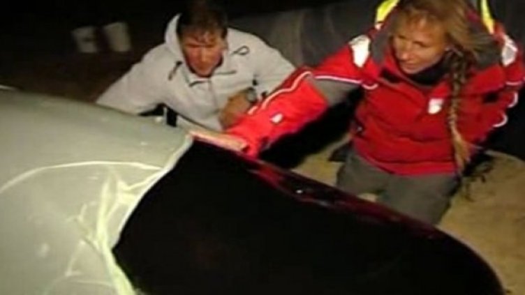 Китове на плажа. Този път в Нова Зеландия