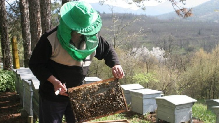 Снимка: БГНЕС