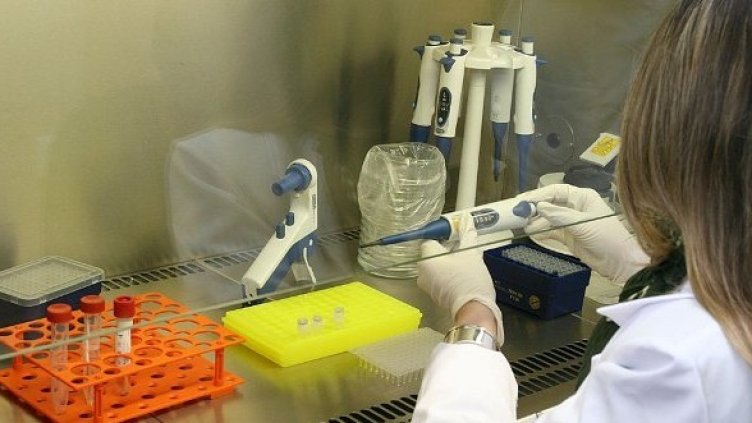 Снимка: Булфото