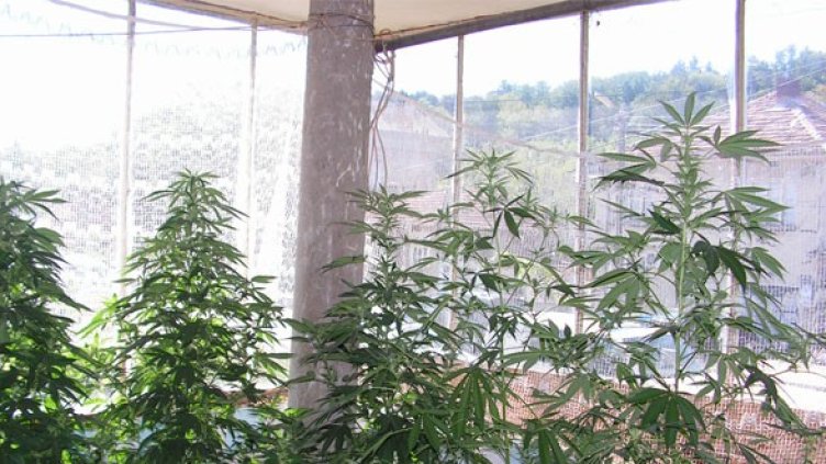 Снимка: МВР