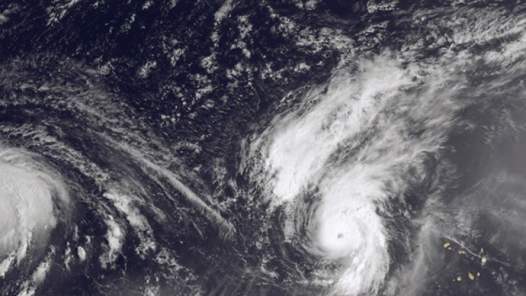 Снимка: Getty Images/Guliver Photos