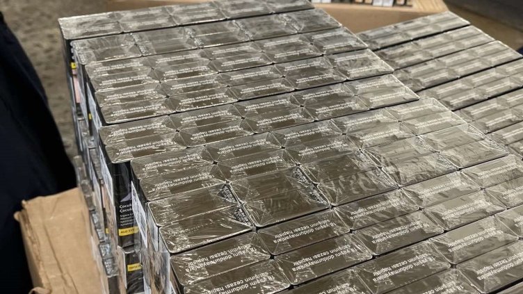 БГНЕС, архив