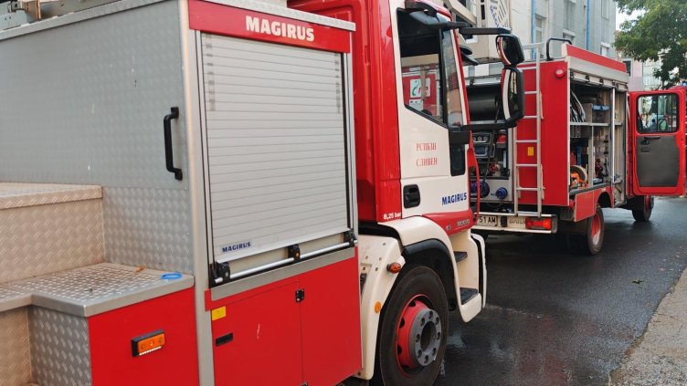 Снимка: архив, БГНЕС