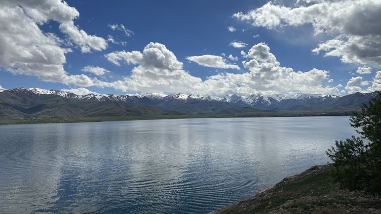 Снимка: IstockPhoto