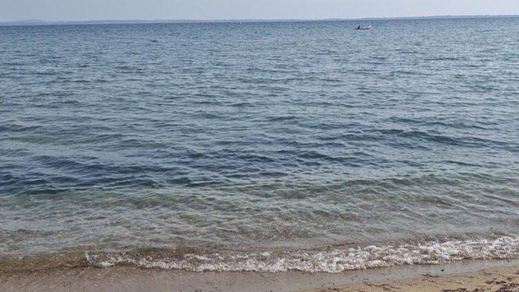 Снимка: архив, БГНЕС