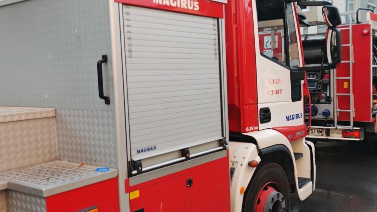 Снимка: архив, БГНЕС