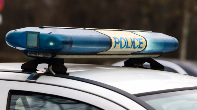 Снимка: архив, БГНЕС