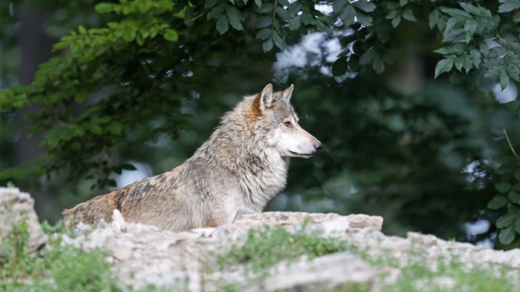 Снимка: БГНЕС/ EPA