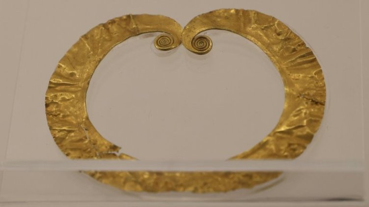 Снимка БГНЕС