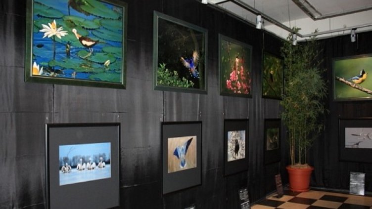 Снимка: Национален природонаучен музей