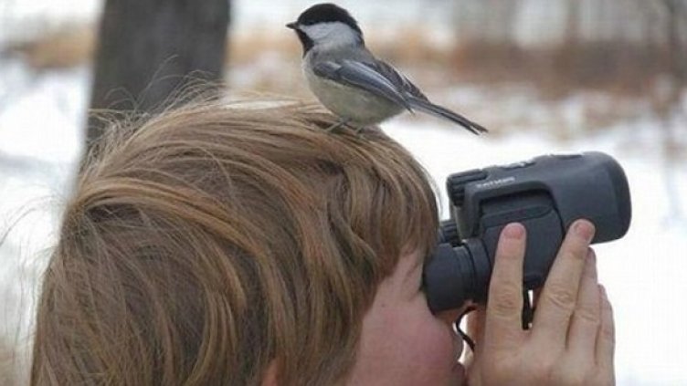 Снимка: БДЗП