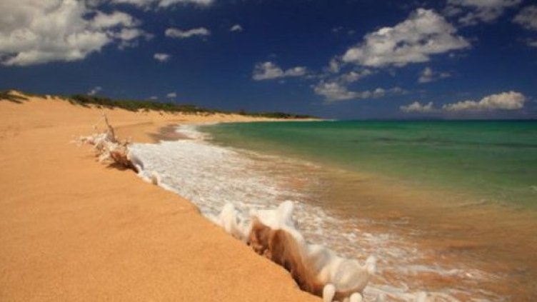 Снимка: Getty Images/Guliver Photos