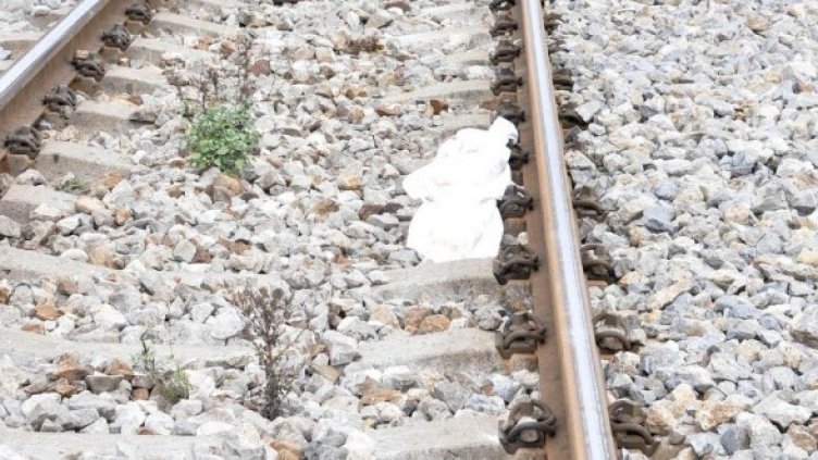 Снимка: Булфото