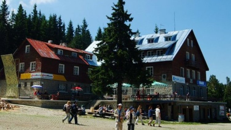 Снимка: Булфото