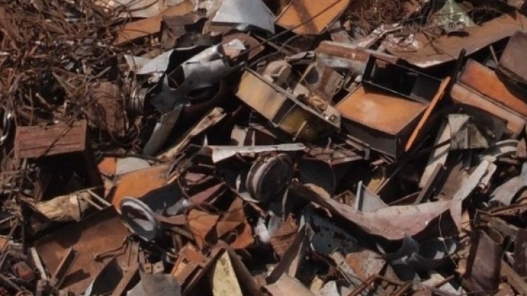 Снимка: Булфото