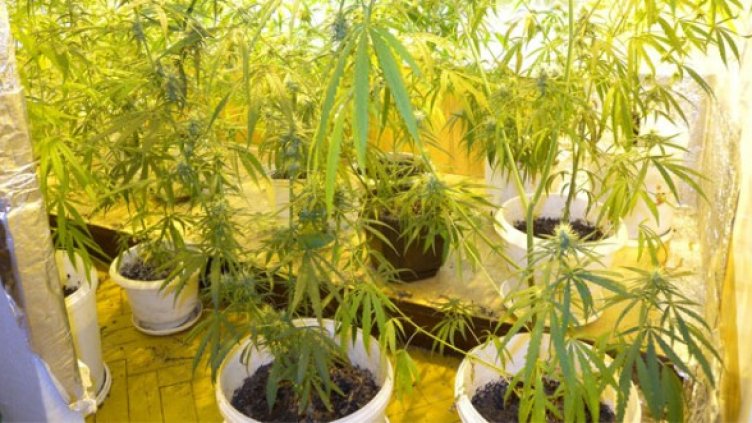 Снимка: МВР