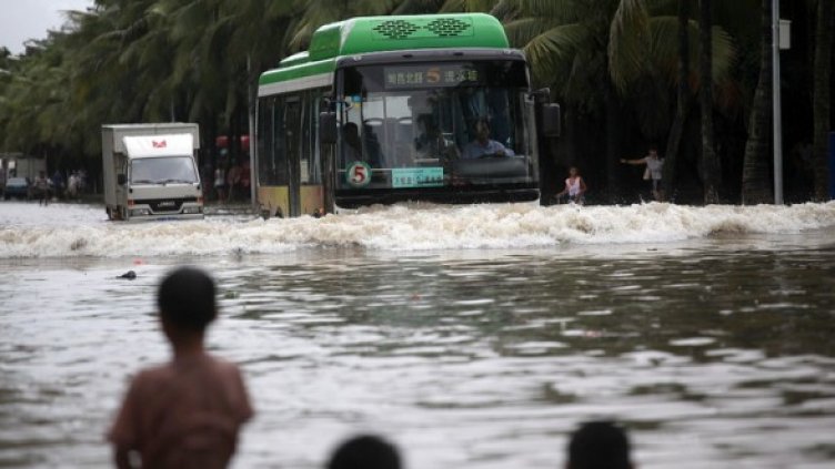 Снимка:  БГНЕС