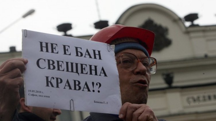 Снимка: БГНЕС