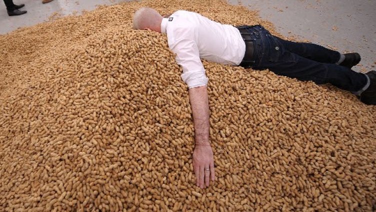 Снимка: Getty Images/Guliver Photos