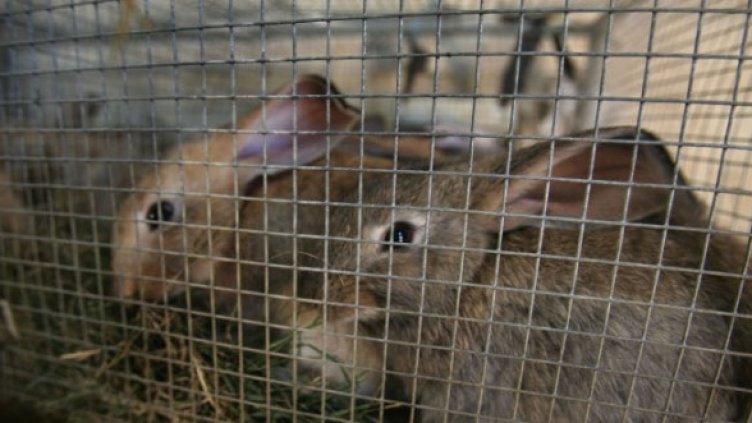 Снимка: Getty Images/Guliver Photos