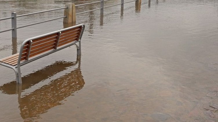 Снимка:  БГНЕС