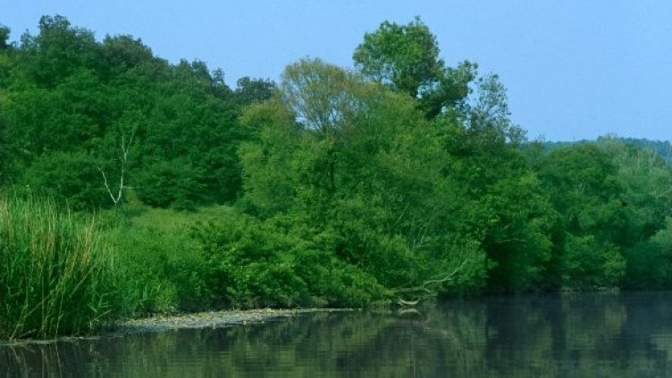 Снимка: Булфото