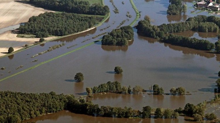 Снимка:  БГНЕС