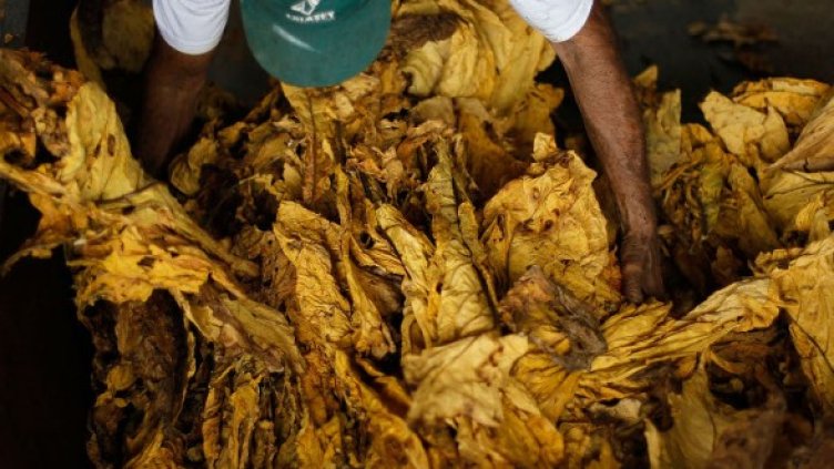 Снимка: Getty Images/Guliver Photos