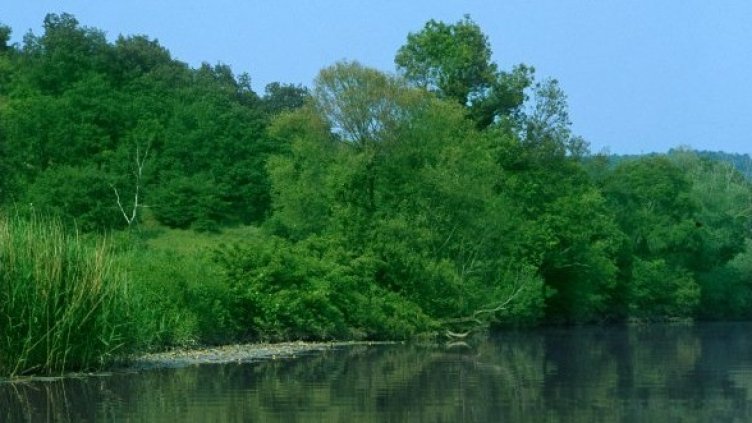 Снимка: Булфото