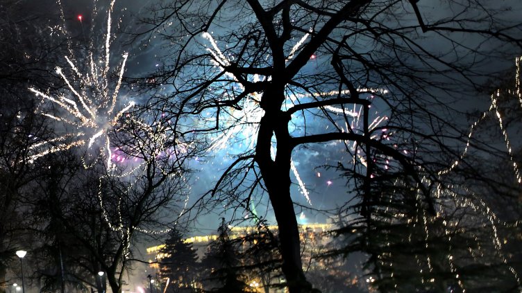 Снимка: архив, БГНЕС