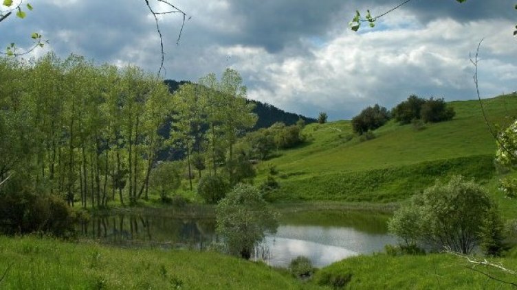 Снимка: Булфото