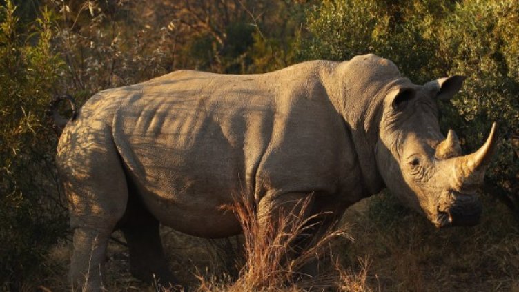 Снимка: Getty Images/Guliver Photos