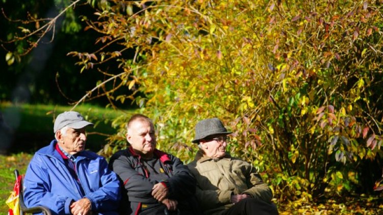 Снимка: БГНЕС