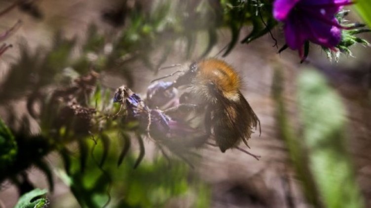 Снимка: Getty Images/Guliver Photos