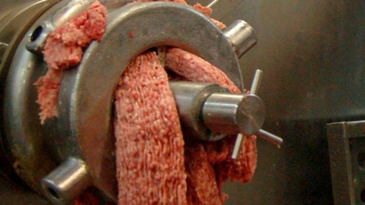 Снимка: Булфото