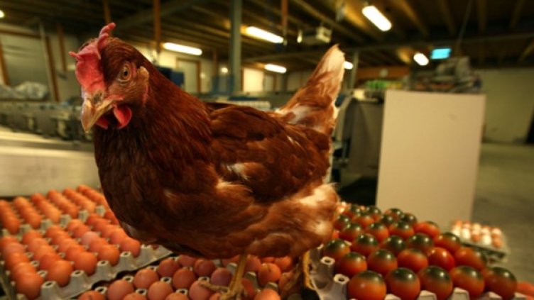 Снимка: Getty Images/Guliver Photos